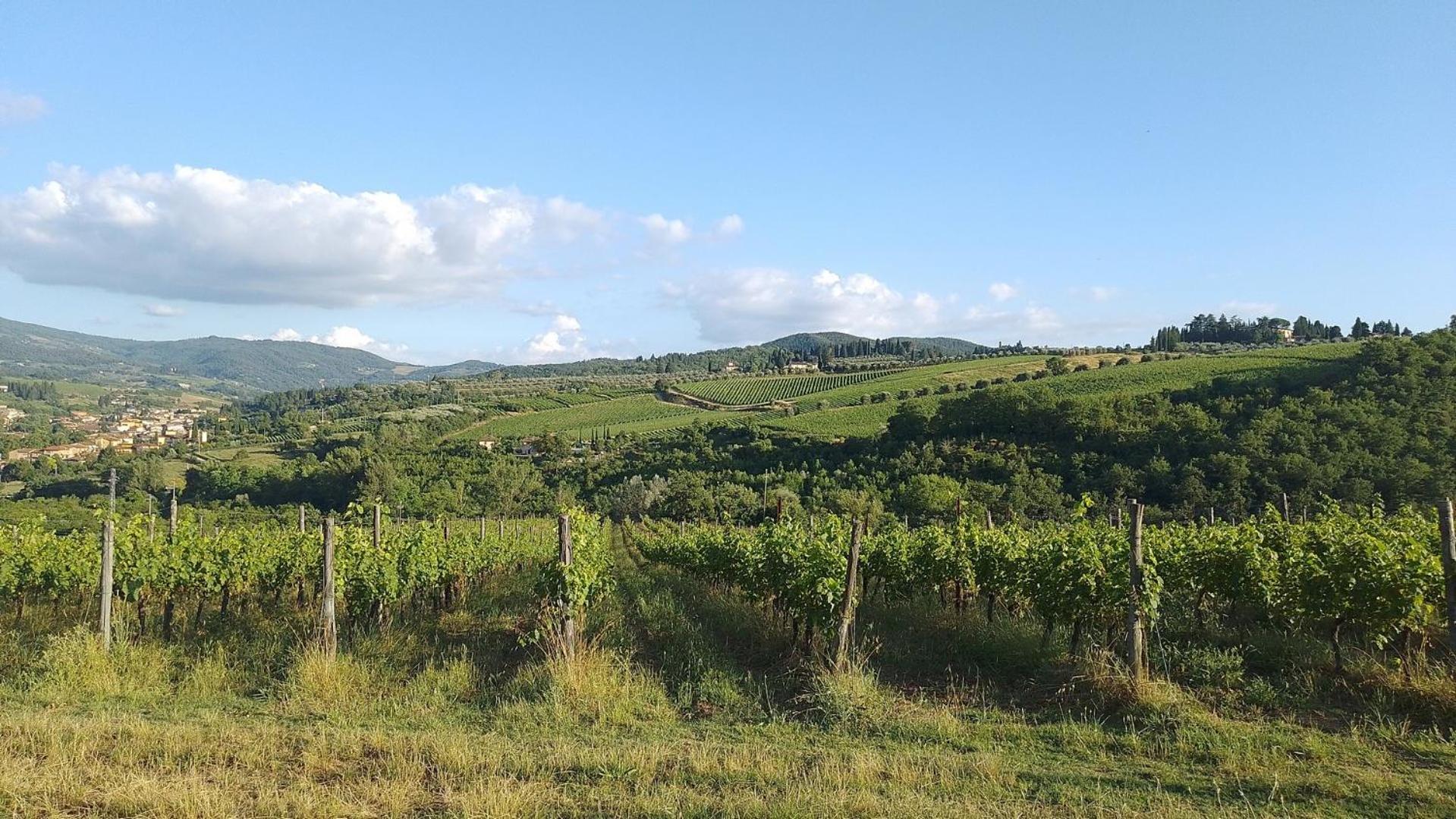 La Turra - Casa Di Campagna Greve in Chianti Exterior foto