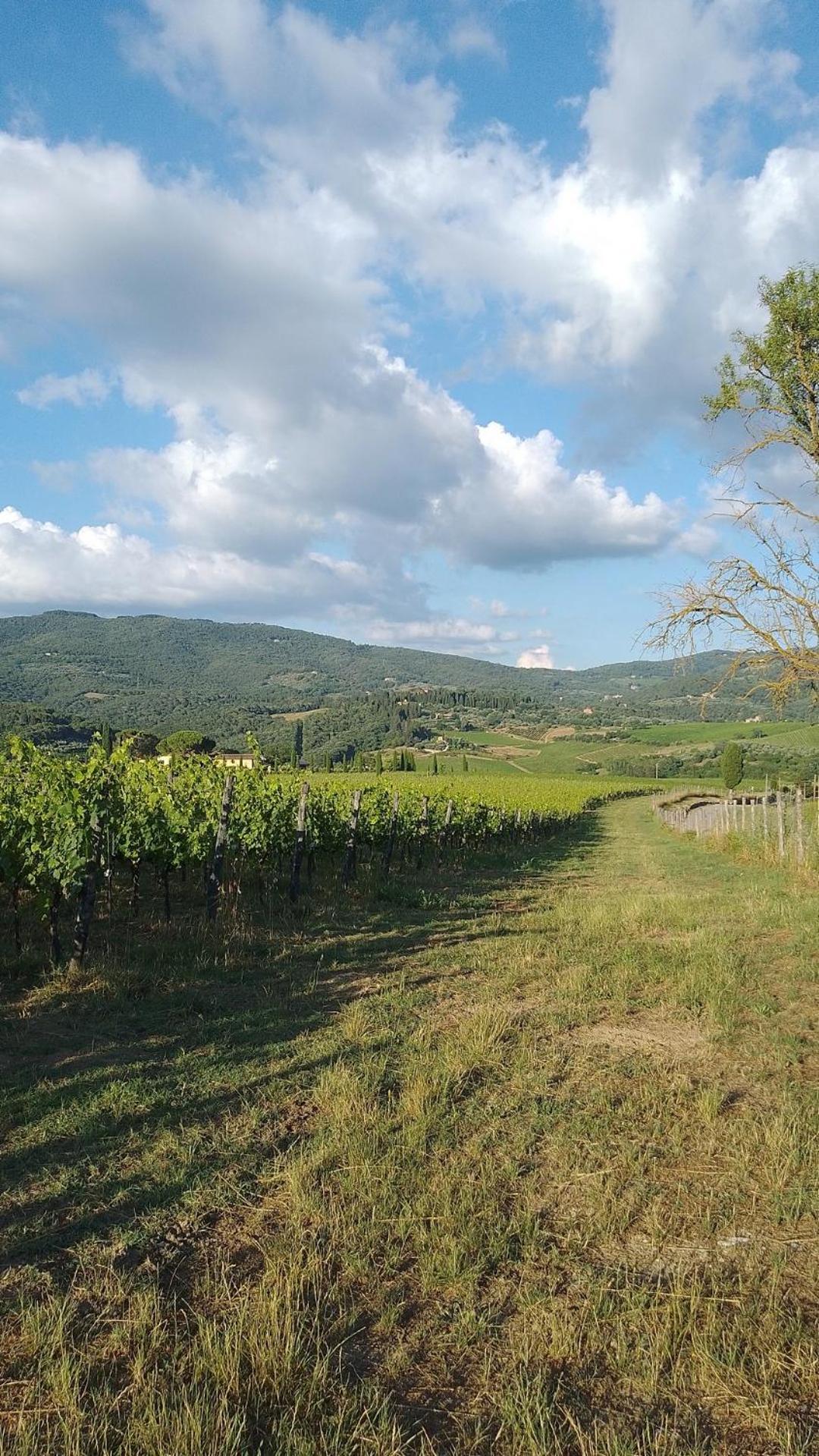 La Turra - Casa Di Campagna Greve in Chianti Exterior foto